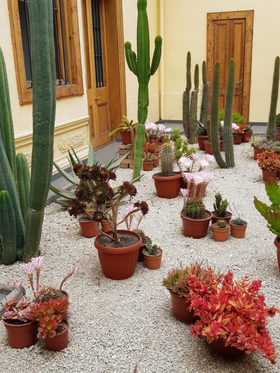 拉塞雷纳La Sombra Del Viento住宿加早餐旅馆 外观 照片